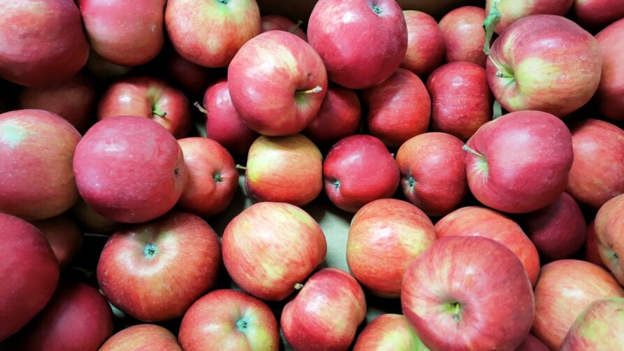 Zdjęcie jabłek sprzedawanych w akcji "Jabuszko".