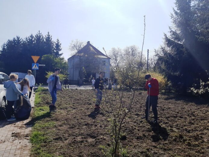 Uczniowie 1 klasy technikum logistycznego z opiekunem i przedstawicielem Nadleśnictwa Góra Śląska sprzątają i przekopują skwer Westerplatte.