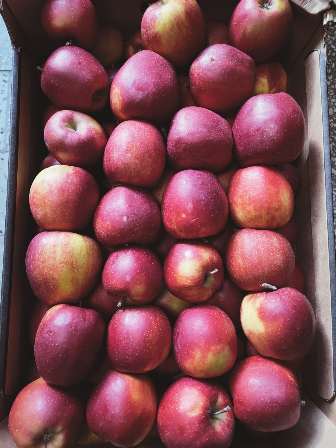 Zdjęcie sprzedawanych jabłek w akcji charytatywnej
